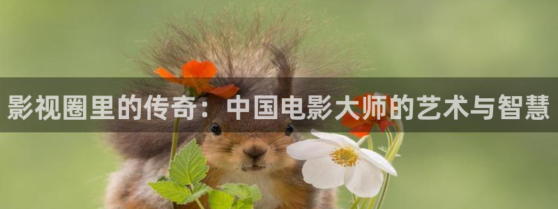 金牌影视官网入口免费观看：影视圈里的传奇：中国电影大师的艺术与智慧