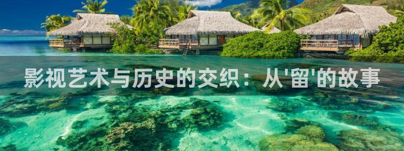 金牌影视：影视艺术与历史的交织：从\'留\'的故事