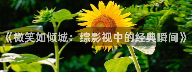 金牌影院剧入口：《微笑如倾城：综影视中的经典瞬间》