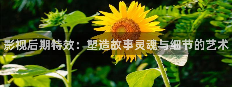 金牌女王电影完整版在线观看：影视后期特效：塑造故事灵魂与细节的艺术