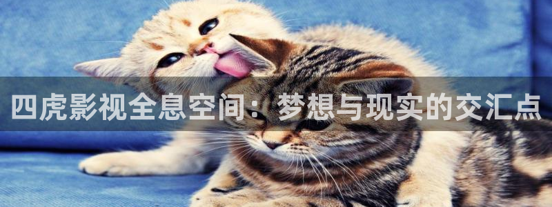 金牌影院免费在线观看：四虎影视全息空间：梦想与现实的交汇点