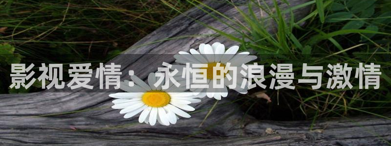 金牌奶妈电影完整版免费观看：影视爱情：永恒的浪漫与激情