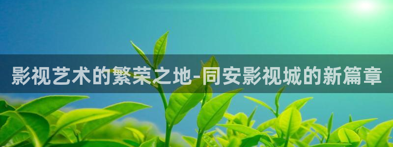 金牌影视官网入口：影视艺术的繁荣之地-同安影视城的新篇章