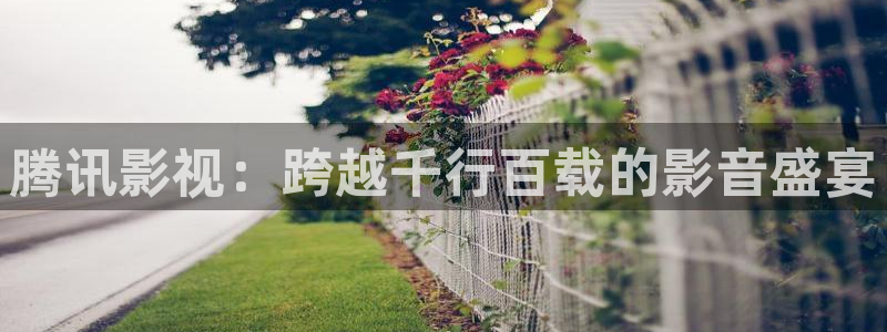 金牌影院2024年最新消息：腾讯影视：跨越千行百载的影音盛宴