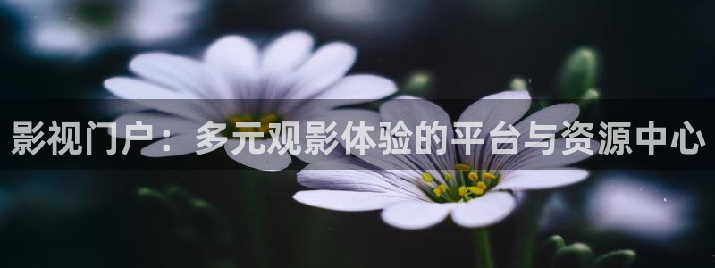 你比星光美丽电视剧免费观看金牌影院：影视门户：多元观影体验的平台与资源中心