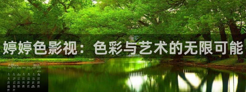 金牌影视大全：婷婷色影视：色彩与艺术的无限可能